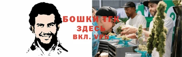 прущая мука Богданович